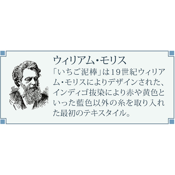 モリス 折りたためるあんしんステッキ ネイビー
